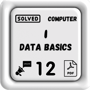 Computer Class 12 Notes Chapter 1 (Data Basics) Punjab Board